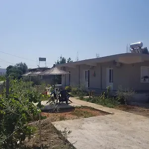 Rey Garden Maison d'hôtes